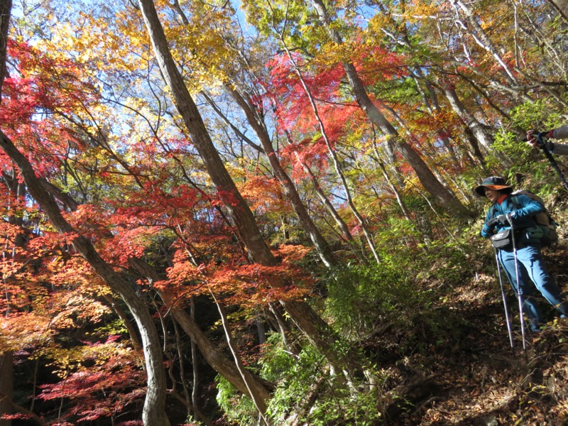 奥久慈・男体山